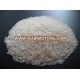 THAI MEDIUM GRAIN RICE / CALROSE RICE / CAMOLINO RICE