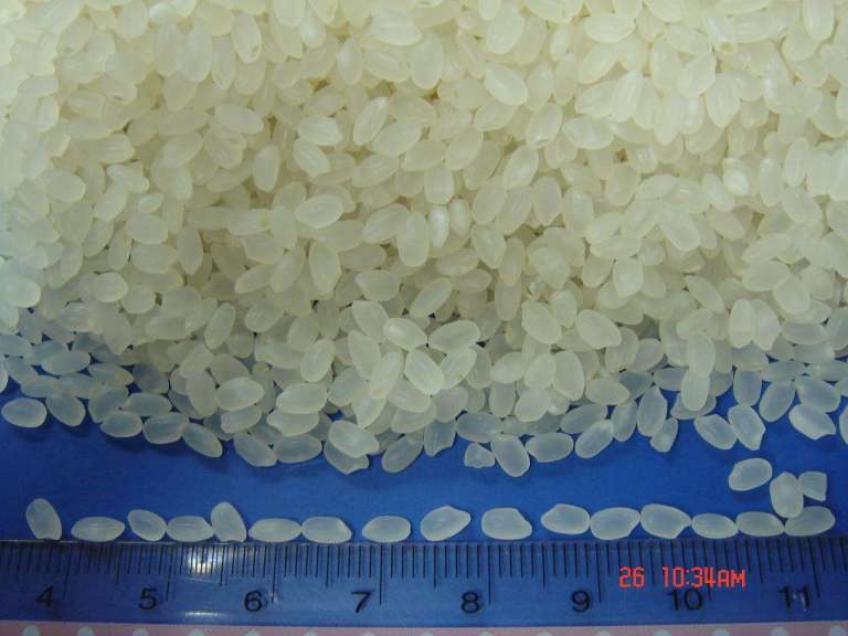 Short Grain Rice, Medium Rice, Round Rice, White Rice