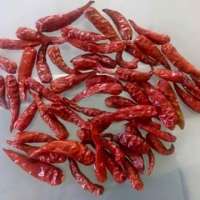 Dried hot Chilli 0084984418844 whatsapp